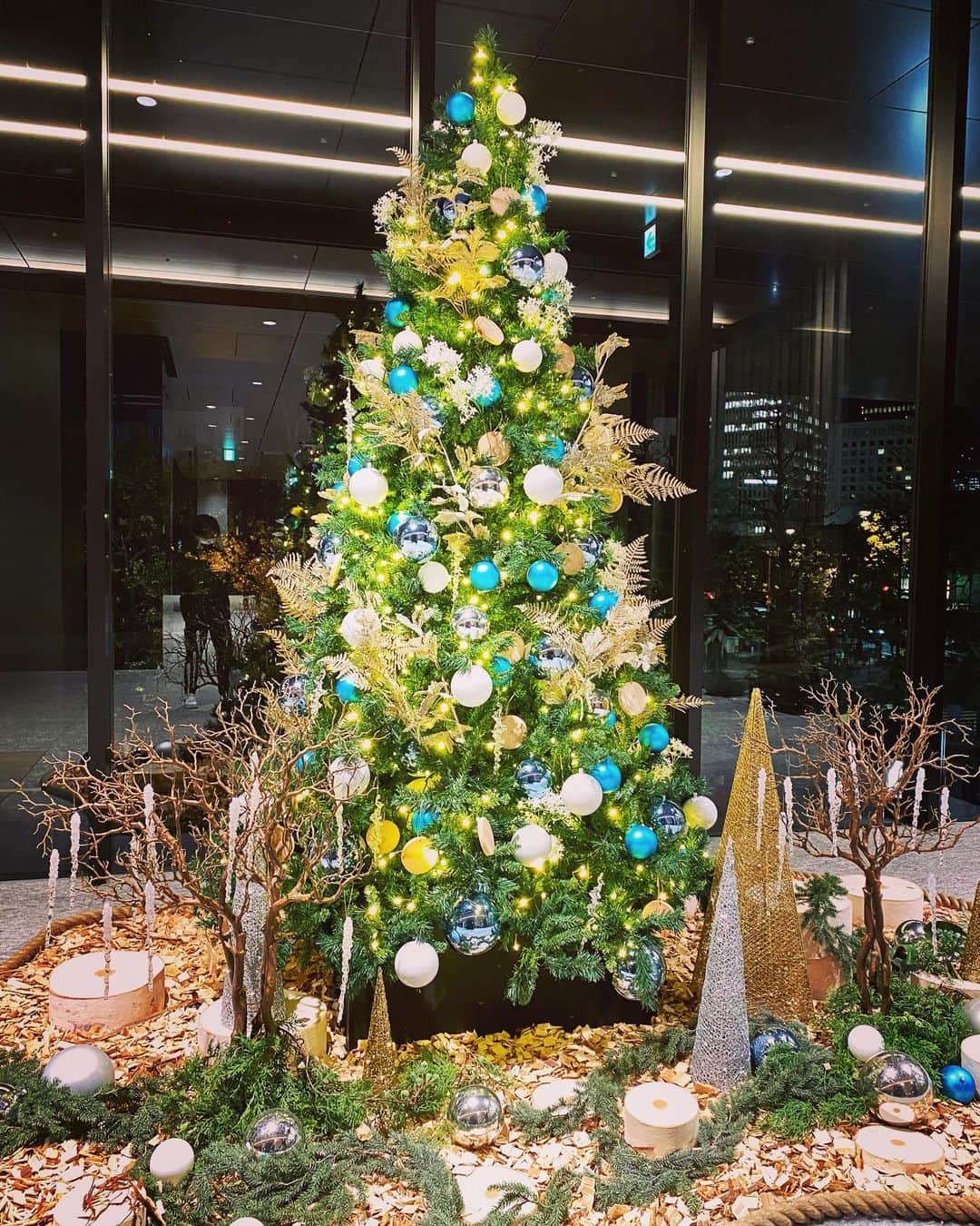 ヒカル（はやぶさ）のインスタグラム：「#クリスマス #クリスマスツリー #ツリー #綺麗 #クリスマスツリーの木  #もうすぐクリスマス #クリスマス🎄」