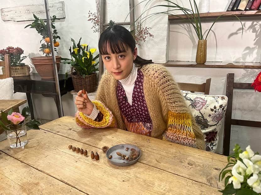 山本美月（スタッフ）さんのインスタグラム写真 - (山本美月（スタッフ）Instagram)「『趣味の園芸　山本美月グリーンサムへの12か月』見てくださった皆さまありがとうございました！  今回のテーマは「植物をリスペクト！」でした🪴  マクロレンズで植物の新しい一面をたくさん観察しました！  NHK Eテレで再放送もありますのでぜひご覧ください！ ▪️12/21(水) 午後1:05〜 ▪️12/23(金) 午後9:00〜  #山本美月　#山本美月スタッフ #趣味の園芸  衣装 カーディガン、ワンピース @pasand_by_nequittezpas」12月20日 19時49分 - mizuki_staff