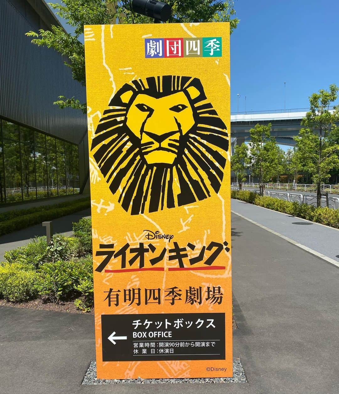 村松智子のインスタグラム：「. #大好きな劇団四季 「ライオンキング」🦁 2023.12.20 日本上演24周年👏  初っ端から一気にサバンナの世界へ引き込まれる 鳥肌と感動が止まらない大好きな作品🦁 ベレーザにもライオンキングファンがたくさんいます🦁  そして有明四季劇場で無期限ロングラン公演中！ ぜひ1回みにいってみてください！！！ 何回見ても、何十回見ても感動間違いなし😭👏  #劇団四季 #ライオンキング #劇団四季ライオンキング #lionking #有明四季劇場 #麻都とライオンポーズ #イワシさんはゾウ登場前に涙 #シンバになりたい」