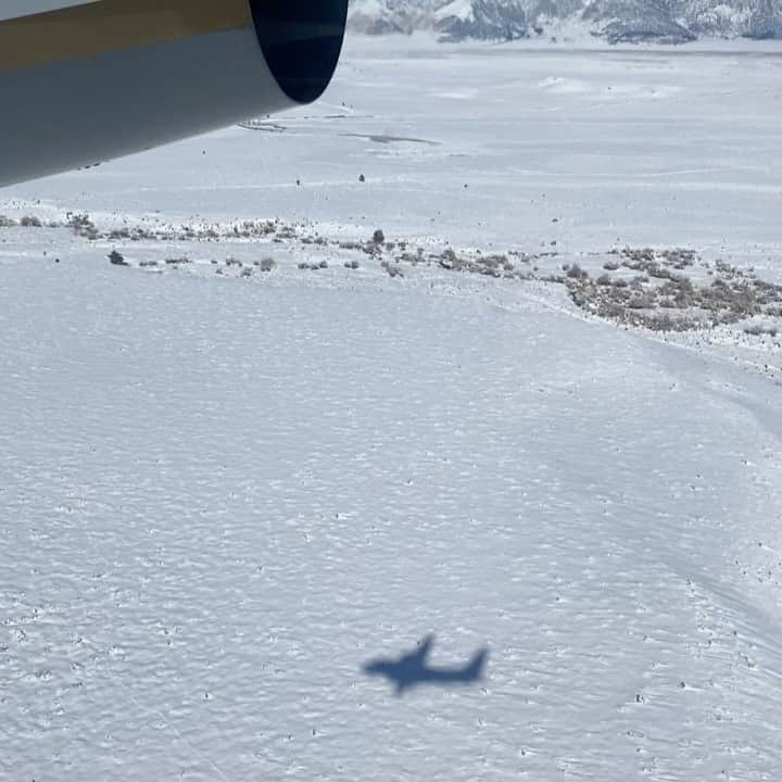 エビアン・クーのインスタグラム：「Winter wonderland 🎄❄️」