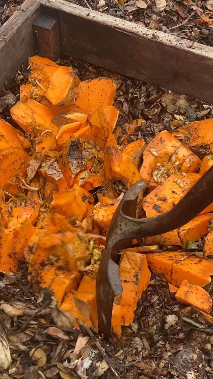 ボニー・ライトのインスタグラム：「See ya later fall 🍂 I’m ready for winter, a time to let it all decompose and begin anew again #wintersolstice」