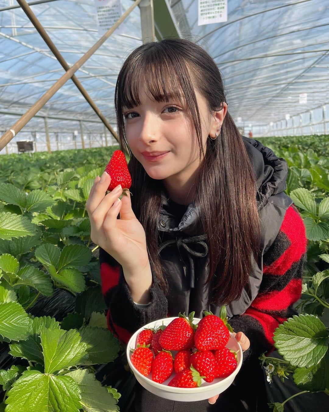 マリナのインスタグラム：「🌱  いちご狩り行ってきた〜!!🍓  大きいいちごたくさん食べたよ～、 100個くらい食べたかなʕ•̫͡•ʕ*̫͡*ʕ•͓͡•ʔ  #いちご狩り」