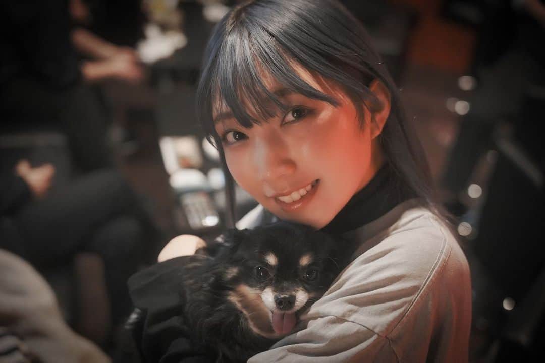 霜月めあのインスタグラム：「スナックにきた常連わんちゃんと🐶💕 . . . .  #霜月めあ #めあめあ #model #sexy #selfie #animegirl #셀카 #셀스타그램 #패션스타그램 #데일리 #asiangirl #cosplay #좋아　#instalove #follow #like #tokyo #ootd #style #photo #sexybody #love #맞팔 #tagsforlikes  #Japanesegirl #photooftheday #igers #instadaily #グラビア #日系穿搭」