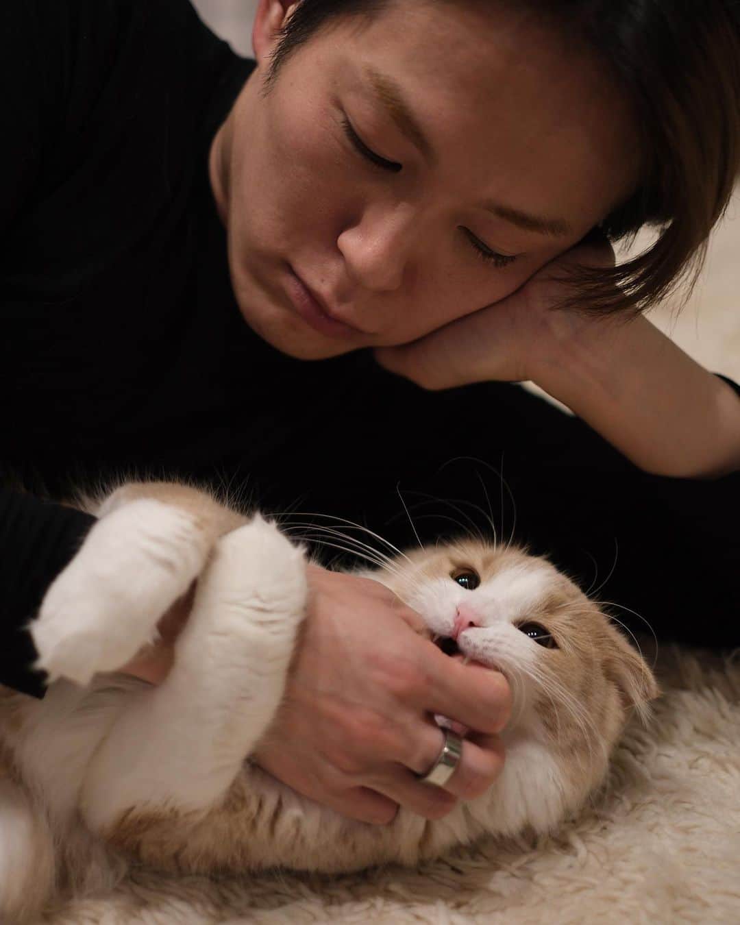 米津真浩さんのインスタグラム写真 - (米津真浩Instagram)「うちの猫(名前 ：おにぎり🍙 一歳メス　趣味：食べること)が可愛すぎてやばい😊🙌インスタもやってます😇@cat.onigiri  米津じじい、ヒートテックですまぬ。  photo @makishin   #scotishfold  #cat #スコティッシュフォールド」1月4日 20時25分 - yonezutadahiro