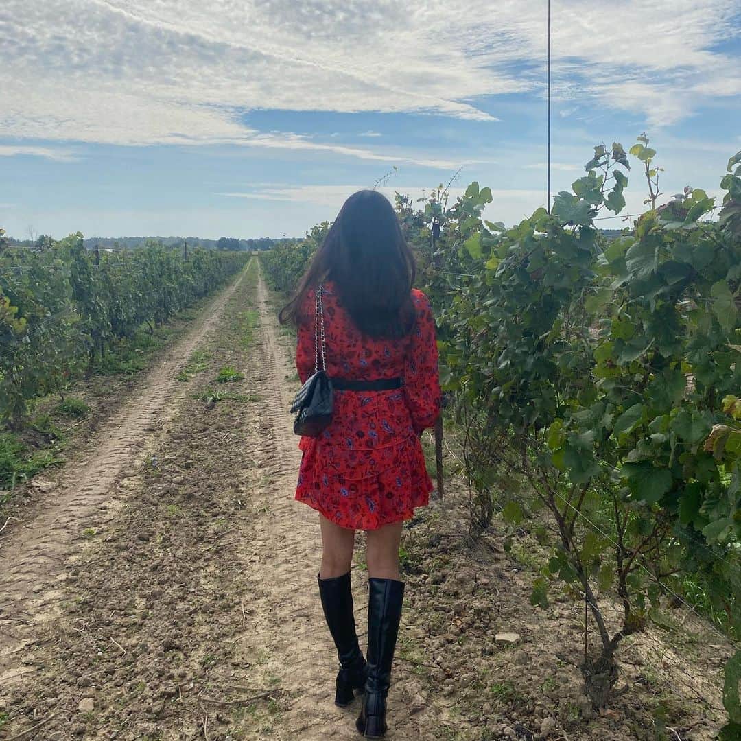 宮本あかりのインスタグラム：「The great thing about wine is everything 🍷🍇」