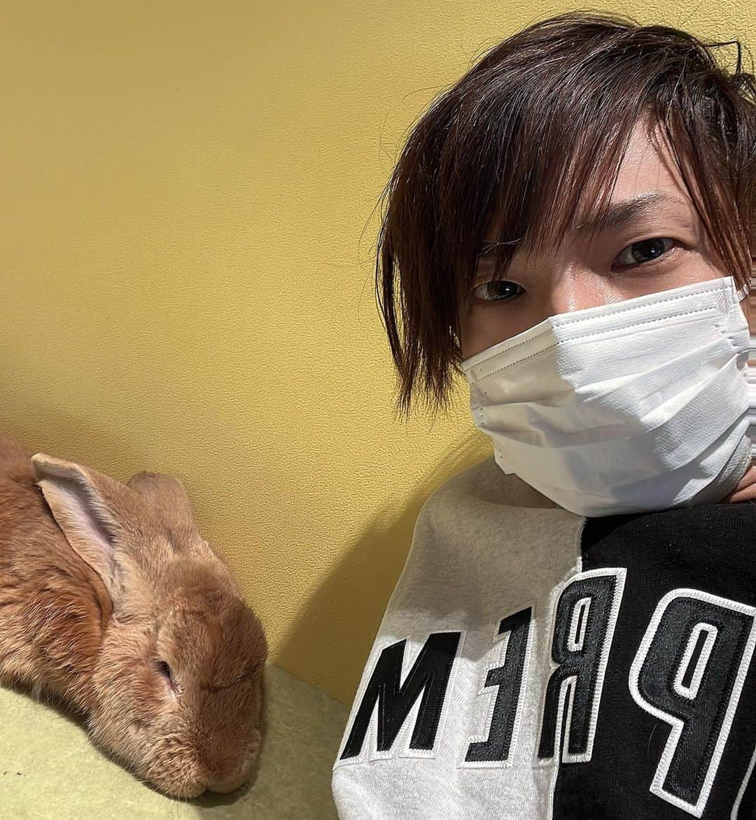 ひらのっちさんのインスタグラム写真 - (ひらのっちInstagram)「卯年🐇矢場動物堂、豚さんいっぱい🐷そのあと矢場とんごめん🙇‍♂️wひつまぶし最強、待つ価値あり‼️弟とモンハン、ポケモン✨名古屋最高かよ😊 #名古屋 ＃名古屋グルメ #矢場とん #みそかつ #ひつまぶし #あつた蓬莱軒 #ポケモン #モンハン #矢場動物堂 #豚 ＃帰省 #正月 #年始」1月4日 21時01分 - hiranocchi