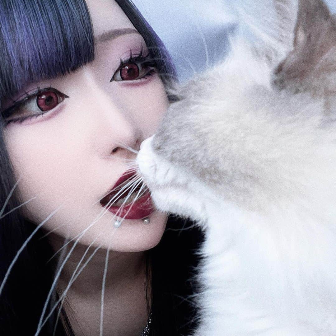 あんりゴンのインスタグラム