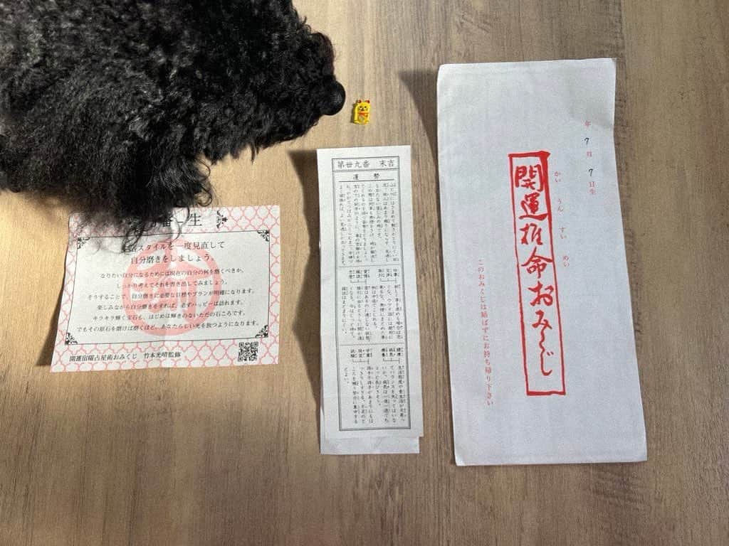 菜乃花のインスタグラム：「2023年は令和5年です。  今年もどうぞよろしくお願いします😌！  年末年始は本当に久々に地元でゆっくり過ごしました。 すっかりお腹がぱんぱん。  それにしても全てのおみくじが私に （規則正しい生活を心がけて）と言ってきます。  くぅ、やってやろうじゃん！！！  今年はお昼前におはようできるように頑張ります。」