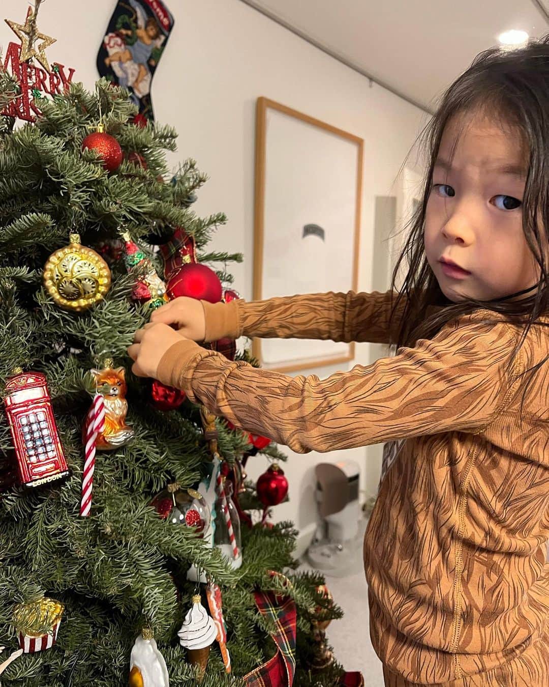 Yukari Imaiのインスタグラム：「クリスマスツリーの記録2022🎄  2022年のクリスマスツリーは、5ft〜6ft(150cm〜180cm)の形の良いツリーを桂一さんが朝6:00から並んで買ってくれました！  もみの木を買いはじめて6年だけど、いままでで1番！サイズがちょうど良かった☺️ 来年も同じサイズにしたいっ！  今年は、そうちゃんが1歳半ということもあり、ツリーに体当たりしたり、オーナメントをかじって割ってしまったり…とにかく大変でした😂 それも良い思い出🥺  そうちゃんが危なくないように、 もみの木の下半分には極力つけないようにして 投げても口に入れても割れないプラスチックオーナメントのみ使いました❣️  ユイトとソウトが、毎年クリスマスにはフレッシュなもみの木の香りを思い出して実家をなつかしく思ってくれるといいな☺️  #yuitonitta  #sotonitta」