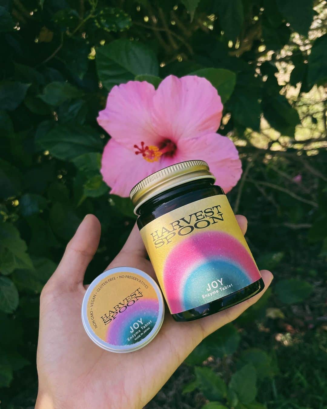 mao mitsuiのインスタグラム：「スペシャルセールのお知らせ💫 HARVEST SPOONは一周年を迎えました。 感謝の気持ちと一周年を記念して全商品20%OFFのスペシャルセールを開催中です🎁✨  【期間】2022年12月21日（水）から 　　　　12月23日（金）14:00まで  @harvestmyspoon トップページのリンクから、是非この機会に公式サイトをご覧ください。  いつもHARVEST SPOONをサポートしてくださりありがとうございます。 これからも1人でも多くの方に私たちのプロダクトを手にとっていただき、健康と幸せを広げていけたらなと思っています🧡  Founder, Mao Brazil  #harvestspoon」