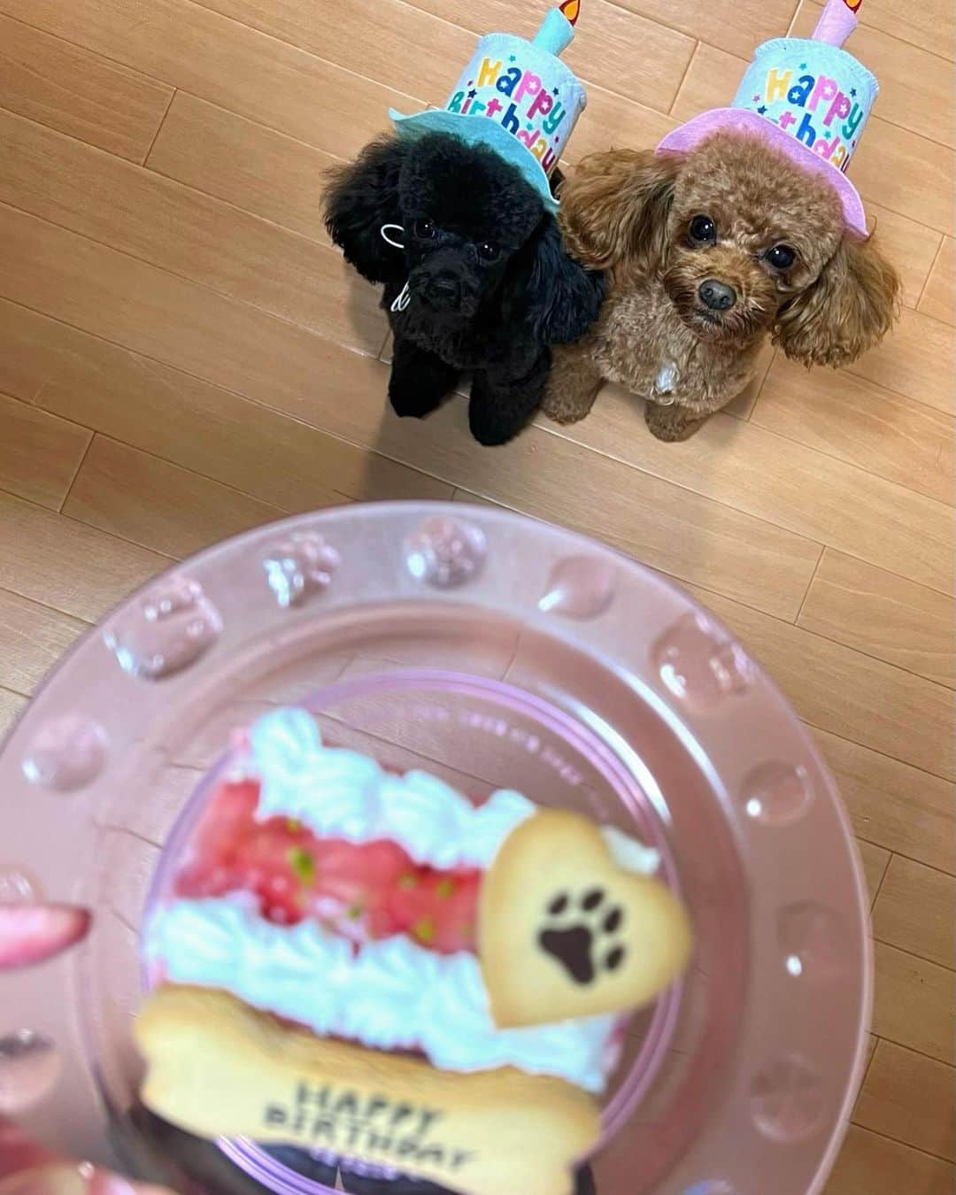 富久美玲のインスタグラム：「_ . MOCO✖️RIRU happy birthday🎂❤️ .」
