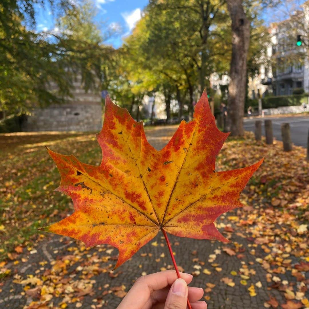 謝村梨帆さんのインスタグラム写真 - (謝村梨帆Instagram)「ケルンから1時間ほどの、初めて知ったアーヘンという街✨ここはサウナとユネスコ世界遺産のアーヘン大聖堂が有名らしく、でもどちらも行っていない😂歴史的な建物が立ち並ぶ旧市街や、緑いっぱいの公園や閑静の住宅街などまるで雰囲気が違ういろんな面がある暮らしやすそうな街です🎶旧市街はカラフルな建物が並んでてちょっとプラハみたいな街並みだったかな！アジア人の留学生が多く(ほとんど中国人)品揃えが良いアジアマーケットもあるのでご飯とかは困らなかった😋ベルギーとオランダにも近いのでここ拠点に近隣の国にも足を伸ばしたりと暮らすような旅ができて良い経験になりました☺️  #traveltogermany #traveltoeurope #worldtravel #liveineurope #aachen  #海外移住 #ヨーロッパ移住 #リトアニア在住 #リトアニア在住日本人 #世界旅行 #ヨーロッパ旅行 #月1海外旅行 #海外旅行 #ドイツ旅 #アーヘン」12月21日 20時46分 - rihointernational