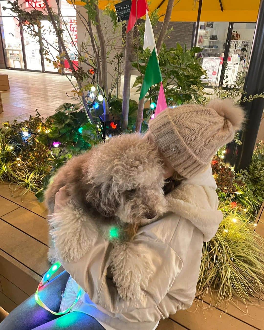 Lisaさんのインスタグラム写真 - (LisaInstagram)「We are sharing Christmas mood with everone🎄🐻❤️」12月21日 21時32分 - lisa.sekai