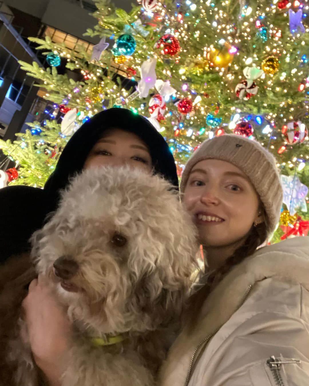 Lisaのインスタグラム：「We are sharing Christmas mood with everone🎄🐻❤️」