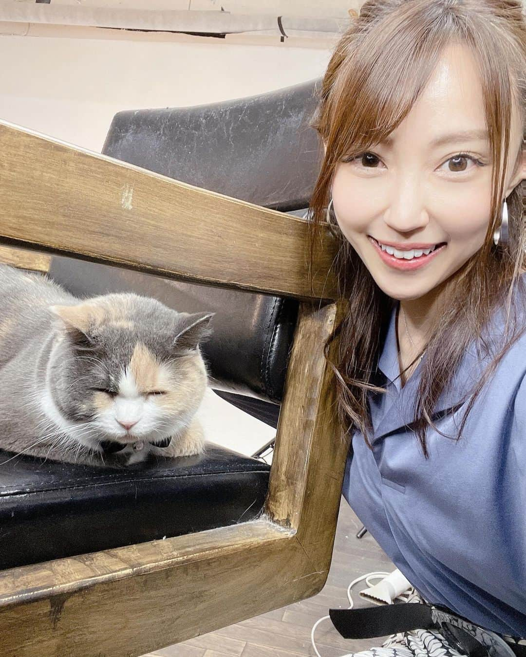 中川祐子のインスタグラム：「きゃわいい〜😍😍💓 . 先日、新しい宣材写真の撮影で 初めてお伺いしたスタジオKUMUさんで お出迎えしてくれた猫ちゃん🐈💕 . ヘアメイクしようと思ったら 鏡台の椅子の上で ぐっすり眠っていたの😍😍 . きっと椅子を温めてくれてたのね☺️ キュンキュンしちゃう〜💓 . . #写真スタジオ #スタジオクム #宣材写真撮影 #アー写撮影  #可愛いすぎるねこちゃん  #マスコットねこ #スタジオのアイドル #蝶ネクタイが似合う  #意外なところで #ぐっすり寝てます #最高の癒し #ニャンコ」