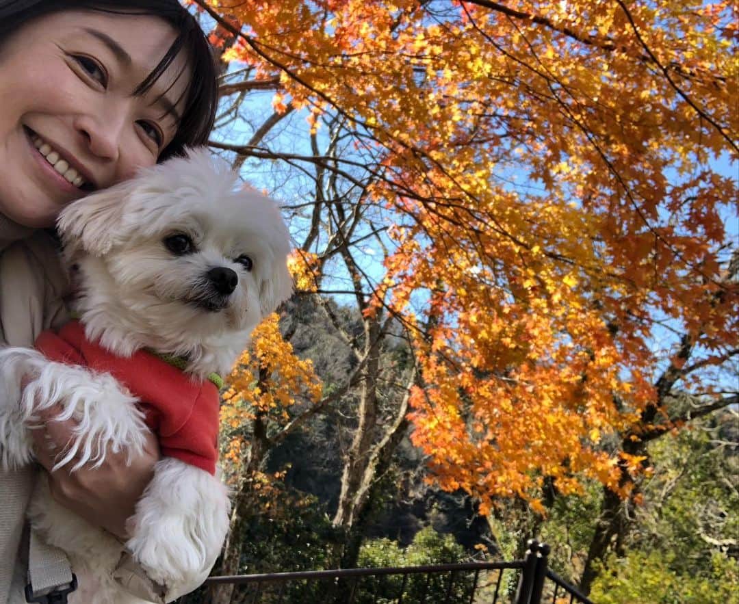 小野真弓のインスタグラム