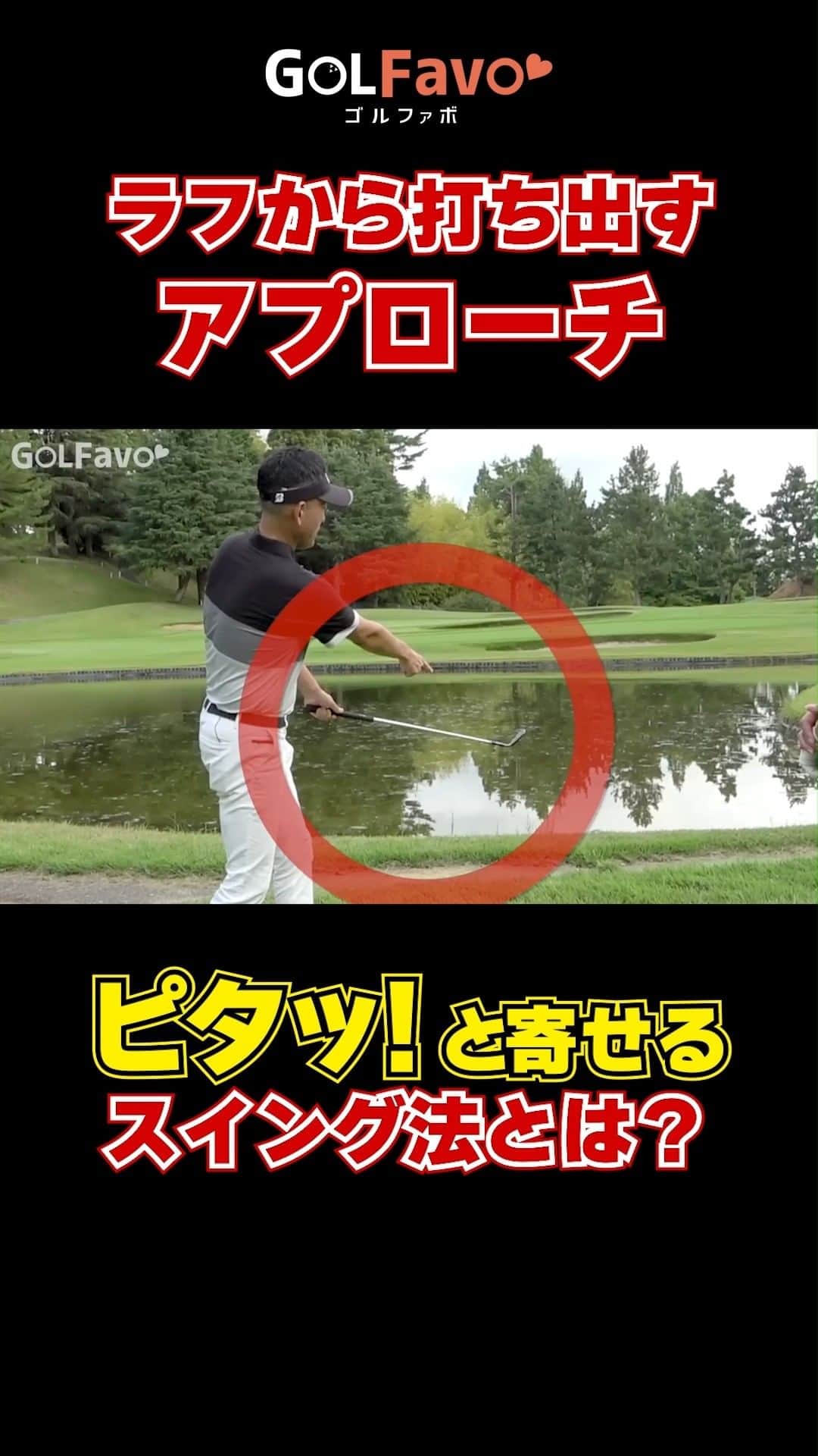 ゴルファボのインスタグラム：「ラフからのアプローチでベタピンを狙う🏌  アプローチで大叩きしたと思ったら次はチョロ....😱  もっとアプローチが安定すればスコアが良くなるのに！  そう感じているゴルファーへ、今回はピタっと寄せるアプローチのスイング法をご紹介します🏌  ＝＝＝＝＝＝＝＝＝＝＝＝＝＝＝＝＝＝＝＝＝＝＝＝＝＝ ◎この投稿が参考になったら 「?」、「保存」・「フォロー」お願いします！   ◎質問・感想はコメントへどうぞ！  ◎YouTubeも更新しているのでプロフィール欄からチェックしてください♪ ＝＝＝＝＝＝＝＝＝＝＝＝＝＝＝＝＝＝＝＝＝＝＝＝＝＝ #ゴルフ #ゴルフレッスン #ゴルフスイング  #インスタゴルフ #ゴルフ女子 #ゴルフ男子 #アプローチ #ゴルフ練習 #ゴルフウェア #ゴルフ好きな人と繋がりたい  #golf #golfswing #골프 #高尔夫球」