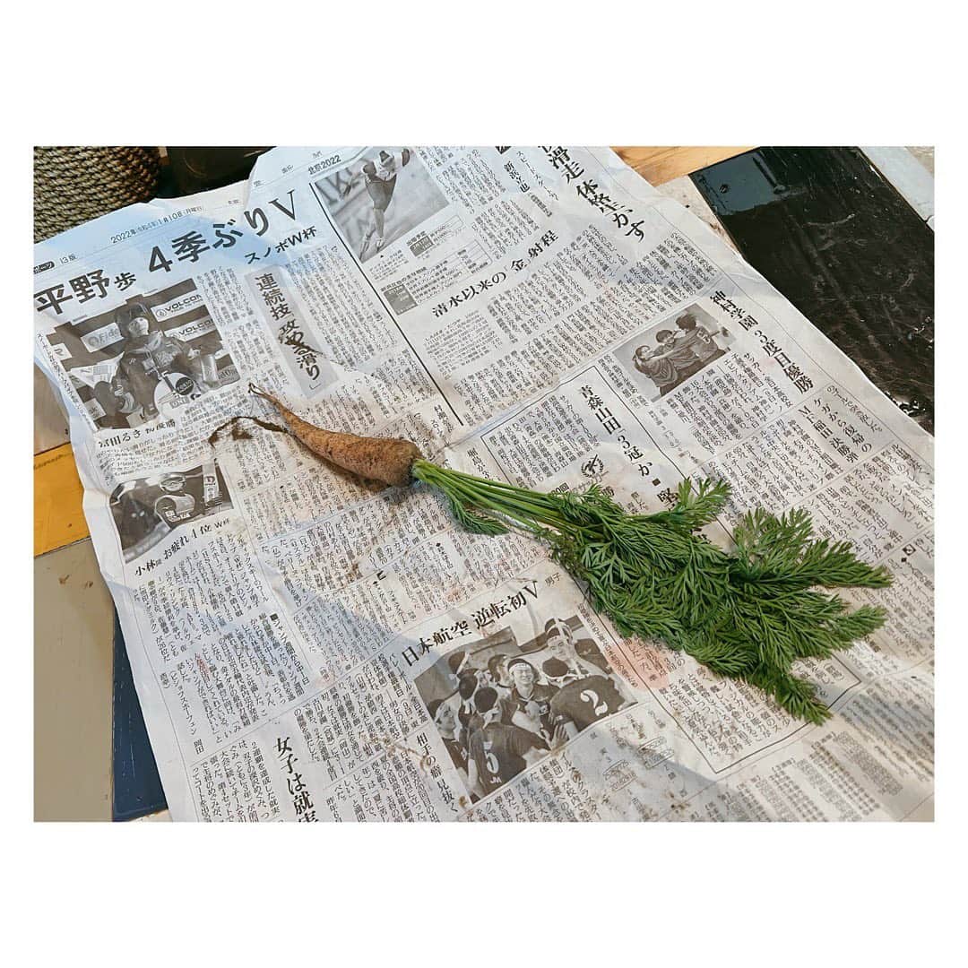 のインスタグラム：「新聞のスポーツ欄に包まれた にんじん一本 子は持ち帰る #短歌 #にんじん #6年生が育てたものらしい #がんばっている人を見ると泣いちゃうお年頃  The adventure of Satoshi and Pikachu is almost end… This news makes me sad a little.」