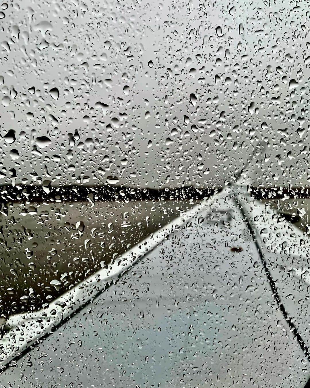 リザード・ヘッドのインスタグラム：「雨のフライト これよりTOKYOへテイクオフ ギャラリーでお待ちしております。」