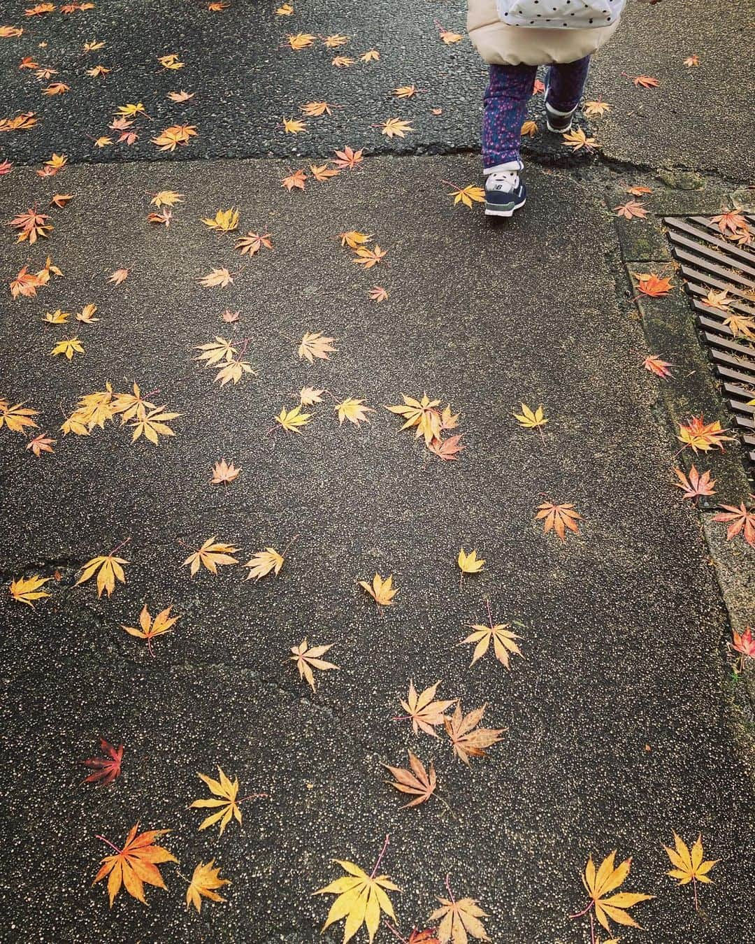 原田佳奈さんのインスタグラム写真 - (原田佳奈Instagram)「・ ・  雨上がり☂️  #紅葉 #落ち葉 #散歩 #寄り道みちくさ」12月22日 16時03分 - kanaharada1211