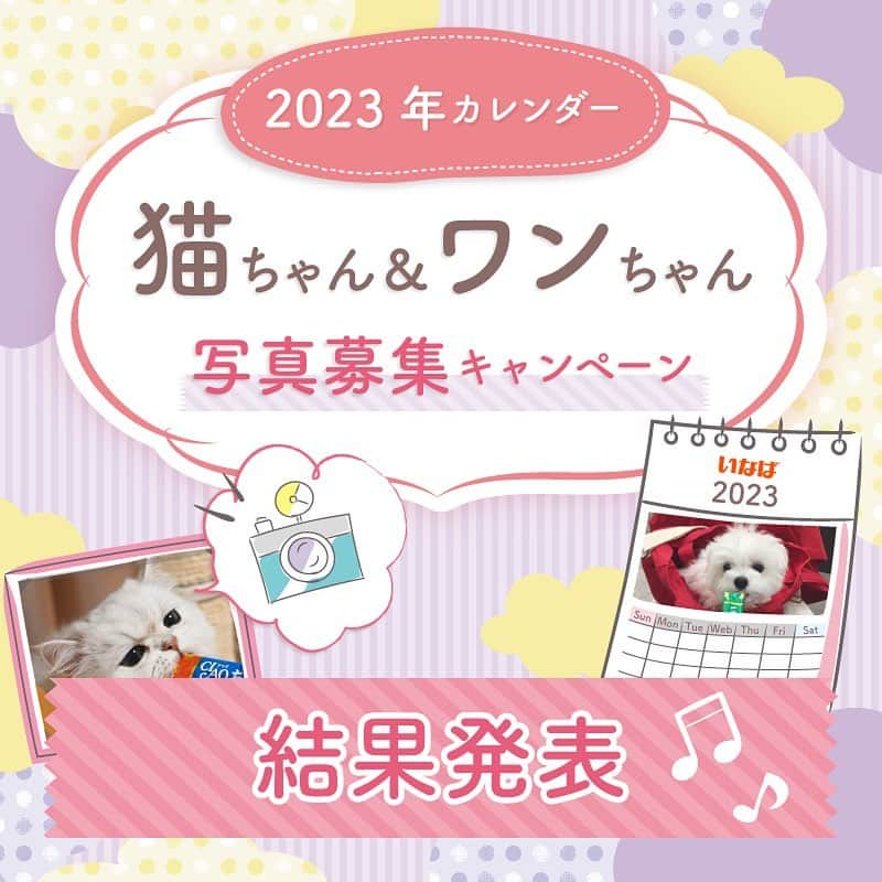 いなば CIAOちゅ～るのインスタグラム：「🎍２０２3年猫ちゃん＆ワンちゃんカレンダー完成しました🎍  皆さまからご応募📮頂いた🐈猫ちゃん＆🐕ワンちゃんの写真でとっても可愛い２０２3年いなばペットフードのロゴ入りカレンダー（非売品）が完成しました。🗓  PC、スマートフォン📱、タブレットの待ち受けにもできるWEBカレンダーも出来ましたので、ぜひ公式ページをご覧ください。  たくさんのご応募ありがとうございました。 1月〜6月のカレンダーを2枚目からご覧頂けます😻  https://www.inaba-petfood.co.jp/campaign/2023_calendar_result.html  ※卓上カレンダーと壁掛けカレンダーでデザインが異なります。  #ちゅーる #2023カレンダー #いなば #世界の猫を喜ばす」