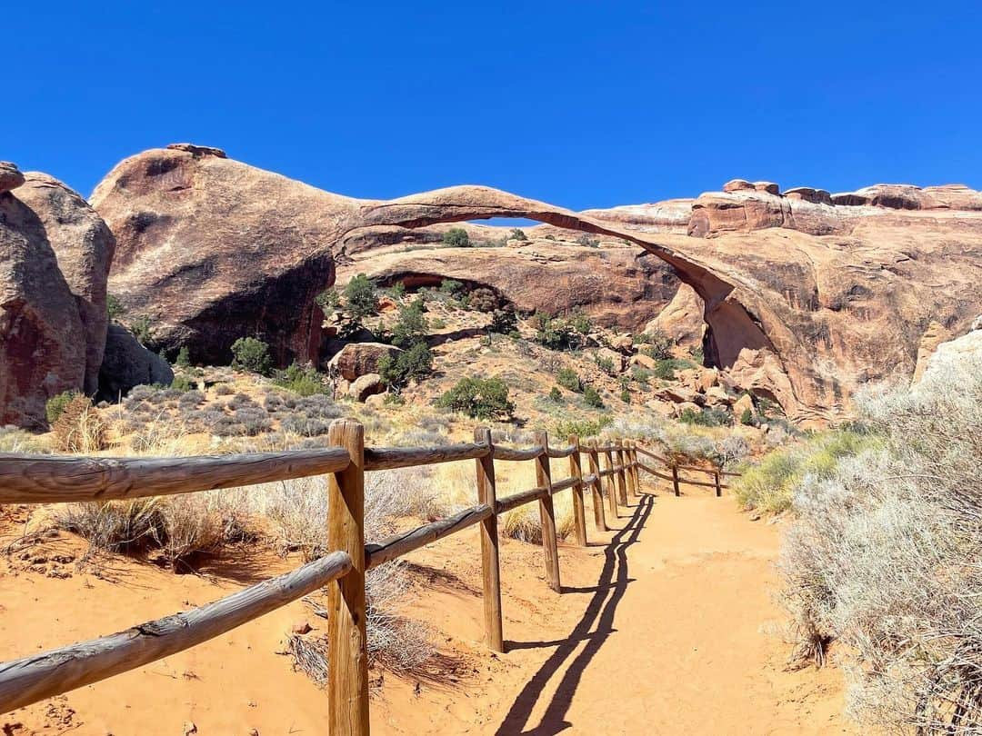 白渚すずさんのインスタグラム写真 - (白渚すずInstagram)「夏休みRV trip ・ ＊Arches National Park＊  今回の旅でどこが一番良かったか？と良く聞かれます。 どこも良かったので一つに絞るのは難しいけれど、 強いて言うならば、こちらがナンバー1だったかなと。 朝一番乗りの日の出から行き、 時間をかけて何箇所かトレッキング等をしたから 思い入れが強いのもあるかも。  砂岩が侵食して自然に出来たアーチの数々。 壮大さに感動の嵐でした。 暑い中、ボクもトレッキングを頑張って この旅で予想以上の彼の体力を発揮してくれました!!  そしてこちらでもボルテックスにより捻れた木がたくさんあり 10枚目はボクが動物の親子みたい!!と発見したもの！  #grandcircle#rv#rvtravel#rvtrip#moab#archesnationalpark#arches#nationalpark#アーチーズ#アーチーズ国立公園 #キャンピングカー#キャンピングカーの旅」12月23日 6時08分 - suzubell_44