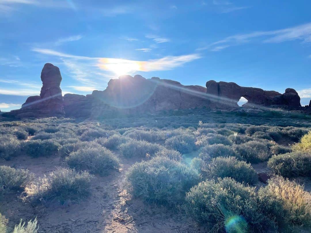 白渚すずさんのインスタグラム写真 - (白渚すずInstagram)「夏休みRV trip ・ ＊Arches National Park＊  今回の旅でどこが一番良かったか？と良く聞かれます。 どこも良かったので一つに絞るのは難しいけれど、 強いて言うならば、こちらがナンバー1だったかなと。 朝一番乗りの日の出から行き、 時間をかけて何箇所かトレッキング等をしたから 思い入れが強いのもあるかも。  砂岩が侵食して自然に出来たアーチの数々。 壮大さに感動の嵐でした。 暑い中、ボクもトレッキングを頑張って この旅で予想以上の彼の体力を発揮してくれました!!  そしてこちらでもボルテックスにより捻れた木がたくさんあり 10枚目はボクが動物の親子みたい!!と発見したもの！  #grandcircle#rv#rvtravel#rvtrip#moab#archesnationalpark#arches#nationalpark#アーチーズ#アーチーズ国立公園 #キャンピングカー#キャンピングカーの旅」12月23日 6時08分 - suzubell_44