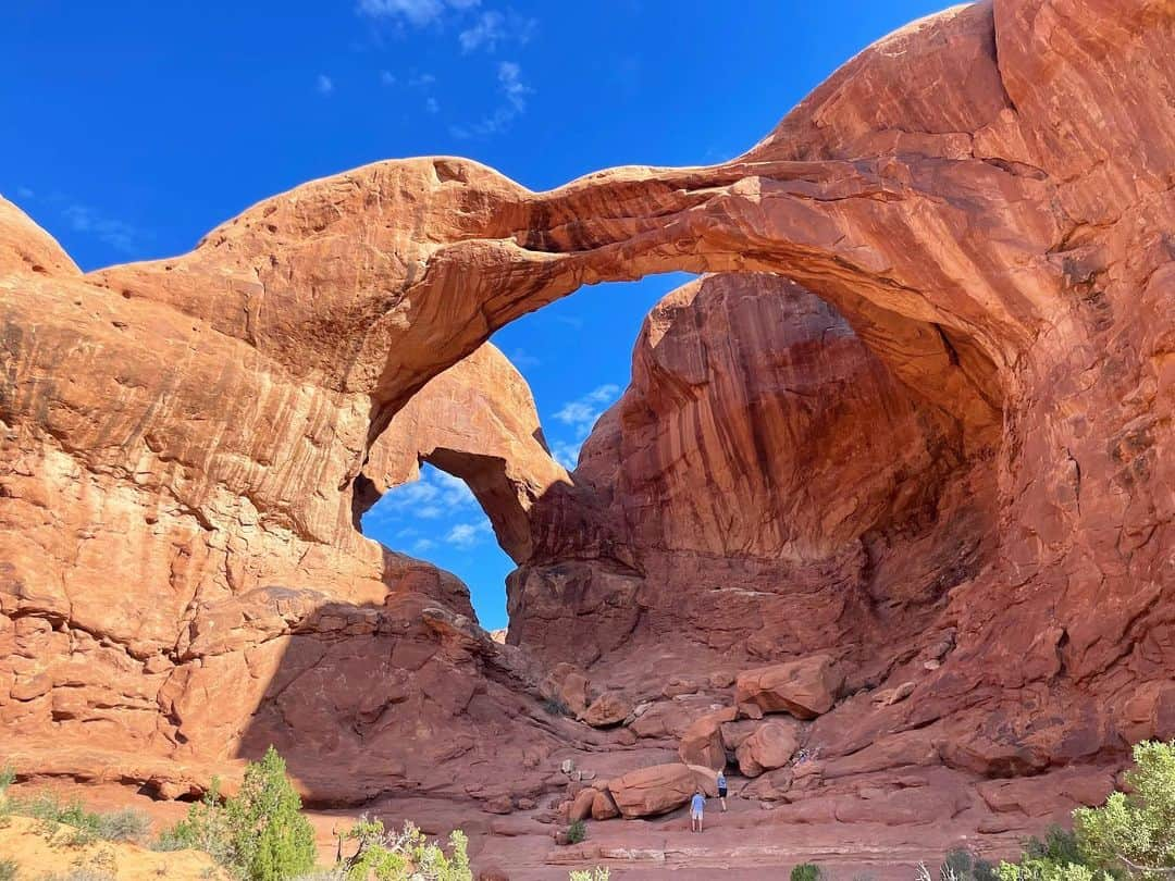 白渚すずのインスタグラム：「夏休みRV trip ・ ＊Arches National Park＊  今回の旅でどこが一番良かったか？と良く聞かれます。 どこも良かったので一つに絞るのは難しいけれど、 強いて言うならば、こちらがナンバー1だったかなと。 朝一番乗りの日の出から行き、 時間をかけて何箇所かトレッキング等をしたから 思い入れが強いのもあるかも。  砂岩が侵食して自然に出来たアーチの数々。 壮大さに感動の嵐でした。 暑い中、ボクもトレッキングを頑張って この旅で予想以上の彼の体力を発揮してくれました!!  そしてこちらでもボルテックスにより捻れた木がたくさんあり 10枚目はボクが動物の親子みたい!!と発見したもの！  #grandcircle#rv#rvtravel#rvtrip#moab#archesnationalpark#arches#nationalpark#アーチーズ#アーチーズ国立公園 #キャンピングカー#キャンピングカーの旅」