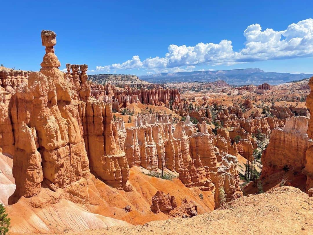 白渚すずのインスタグラム：「夏休みRV trip ・ ＊Bryce Canyon National Park＊  Hoodoo(尖塔群)」と呼ばれるギザギザの奇岩が立ち並ぶ国立公園。 Hoodooを下から見る為に 2時間かかるトレッキングにチャレンジ。 行きは下りだから良いけど帰りは…。 本格的なトレッキング道具を使用している人もいる程でした。 水と少々のお菓子だけ持ち挑み、 4歳のボクも頑張りました!!  たまに現れるシマリスちゃんが可愛くて シマリスちゃんがパワーの源になってました🐿  #grandcircle#rv#rvtravel#rvtrip#brycecanyon#brycecanyonnationalpark#ブライスキャニオン国立公園#国立公園 #キャンピングカー#キャンピングカーの旅」