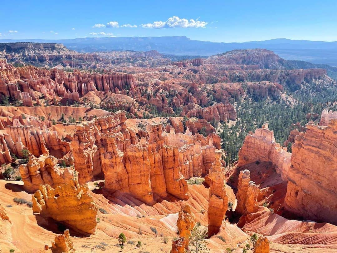 白渚すずさんのインスタグラム写真 - (白渚すずInstagram)「夏休みRV trip ・ ＊Bryce Canyon National Park＊  Hoodoo(尖塔群)」と呼ばれるギザギザの奇岩が立ち並ぶ国立公園。 Hoodooを下から見る為に 2時間かかるトレッキングにチャレンジ。 行きは下りだから良いけど帰りは…。 本格的なトレッキング道具を使用している人もいる程でした。 水と少々のお菓子だけ持ち挑み、 4歳のボクも頑張りました!!  たまに現れるシマリスちゃんが可愛くて シマリスちゃんがパワーの源になってました🐿  #grandcircle#rv#rvtravel#rvtrip#brycecanyon#brycecanyonnationalpark#ブライスキャニオン国立公園#国立公園 #キャンピングカー#キャンピングカーの旅」12月23日 6時47分 - suzubell_44