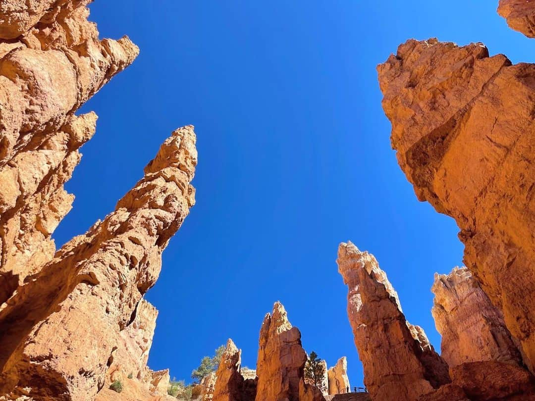 白渚すずさんのインスタグラム写真 - (白渚すずInstagram)「夏休みRV trip ・ ＊Bryce Canyon National Park＊  Hoodoo(尖塔群)」と呼ばれるギザギザの奇岩が立ち並ぶ国立公園。 Hoodooを下から見る為に 2時間かかるトレッキングにチャレンジ。 行きは下りだから良いけど帰りは…。 本格的なトレッキング道具を使用している人もいる程でした。 水と少々のお菓子だけ持ち挑み、 4歳のボクも頑張りました!!  たまに現れるシマリスちゃんが可愛くて シマリスちゃんがパワーの源になってました🐿  #grandcircle#rv#rvtravel#rvtrip#brycecanyon#brycecanyonnationalpark#ブライスキャニオン国立公園#国立公園 #キャンピングカー#キャンピングカーの旅」12月23日 6時47分 - suzubell_44