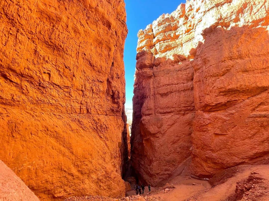 白渚すずさんのインスタグラム写真 - (白渚すずInstagram)「夏休みRV trip ・ ＊Bryce Canyon National Park＊  Hoodoo(尖塔群)」と呼ばれるギザギザの奇岩が立ち並ぶ国立公園。 Hoodooを下から見る為に 2時間かかるトレッキングにチャレンジ。 行きは下りだから良いけど帰りは…。 本格的なトレッキング道具を使用している人もいる程でした。 水と少々のお菓子だけ持ち挑み、 4歳のボクも頑張りました!!  たまに現れるシマリスちゃんが可愛くて シマリスちゃんがパワーの源になってました🐿  #grandcircle#rv#rvtravel#rvtrip#brycecanyon#brycecanyonnationalpark#ブライスキャニオン国立公園#国立公園 #キャンピングカー#キャンピングカーの旅」12月23日 6時47分 - suzubell_44