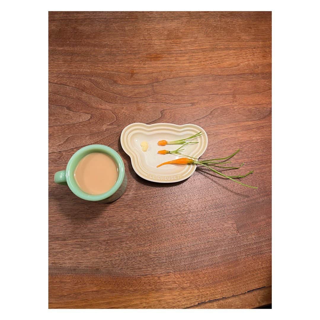 のインスタグラム：「モモンガの一口ぶんの大きさのにんじんだってにんじんの味 #短歌 #にんじん #小学一年生 #ミニチュア  How cute are they!! It’s carrots🥕 that my daughter grew. But she didn’t like it’s taste, so I ate it ☺️.」