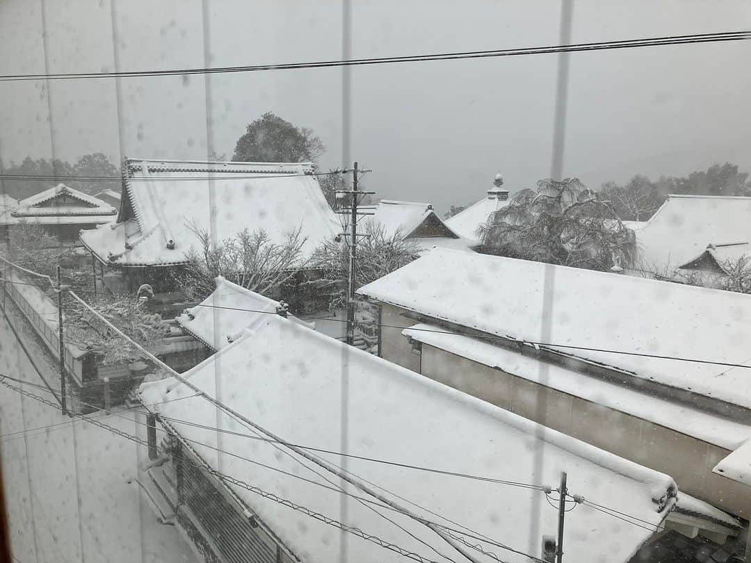 谷崎テトラのインスタグラム：「吉野にて冬至の楽園学会を終えて、朝目覚めると 雪の吉野が広がっていました。」