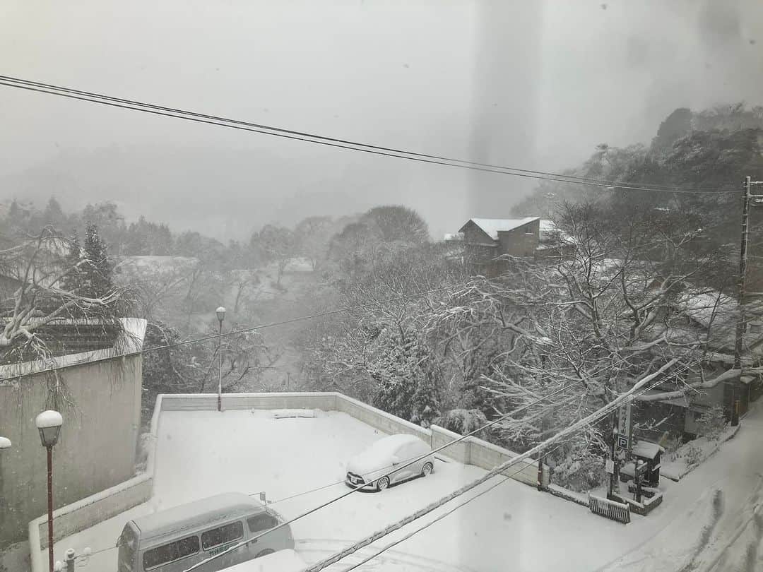 谷崎テトラさんのインスタグラム写真 - (谷崎テトラInstagram)「吉野にて冬至の楽園学会を終えて、朝目覚めると 雪の吉野が広がっていました。」12月23日 9時35分 - tetra_