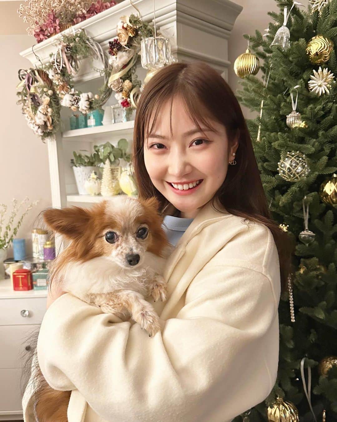 のインスタグラム：「. クリスマスシーズン🎄 いかがお過ごしですか？💫  お友達のわんちゃんと ３年越しに再会できました🥹💓  本当に全部がかわいくて🐶  抱っこできて 顔がほころびまくっています🙈  明日は年内最後の 王様のブランチに出演します👑  クリスマスイブバージョンお楽しみに🥰 @brunch_tbs  . . . . #クリスマス　#ツリー　#犬のいる暮らし」