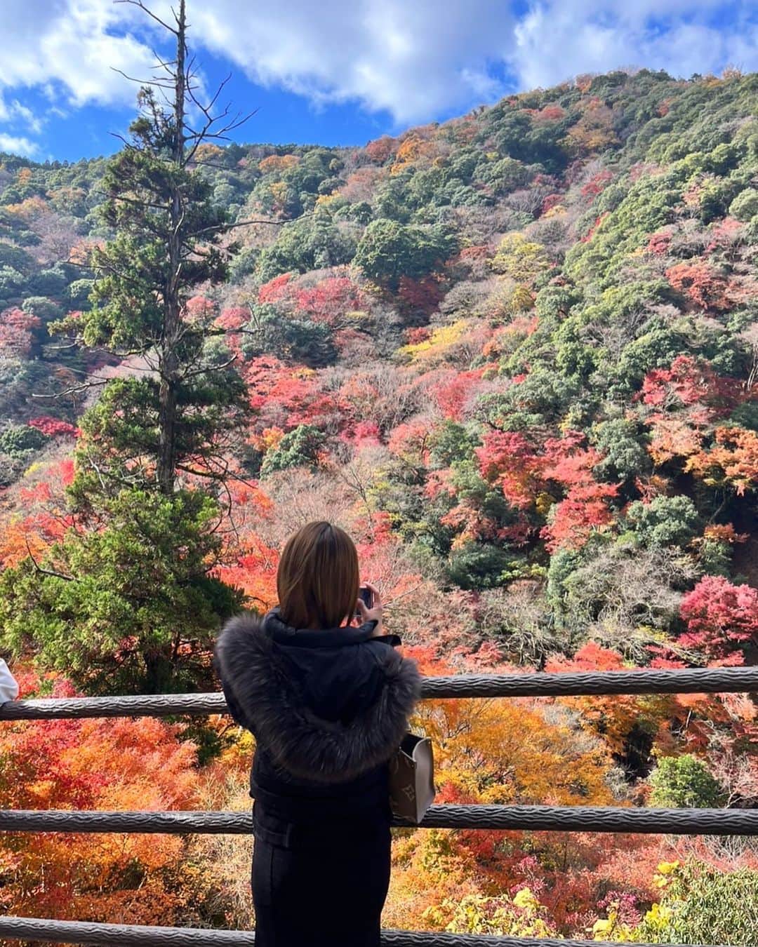 AYAKAのインスタグラム：「ふらっと紅葉🍁  四季感じるの楽しいね🍂」