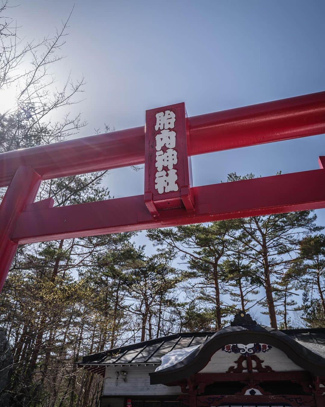 のインスタグラム：「富士山の麓に鎮座する胎内神社⛩ とても不思議の名前だけど、 ここでの体験も本当不思議。  本殿の奥に空いた大きな穴。  そこからまるで富士山の胎内に入っていくような洞窟が広がっている。  狭い洞窟を、途中もはや這いながら進んでいくと、奥にはなんとも雰囲気のある仏像が。  しっかり手を合わせる🙏  胎内を潜り抜けると生まれ変われると、 江戸の頃、富士山を登拝する人たちは富士山に登る前にここに訪れたそう。  やっとの思いで洞窟を出ると、なんともいえない開放感。 確かに生まれ変わった気分になれた＾＾   他にはそうそうない体験のできる唯一無二の神社さん。  是非、体験してみてはどうかな？  #胎内神社 #富士山 #mtfuji #fujisan #fujiyama #japantravel #japantrip #canon #canonR5 #beautifuldestinations #discoverjapan #discoverearth #voyaged #awesome_photographers #IamATraveler #wonderful_places #japanphoto #japanphotography #japan_of_insta #livingonearth #theglobewanderer」