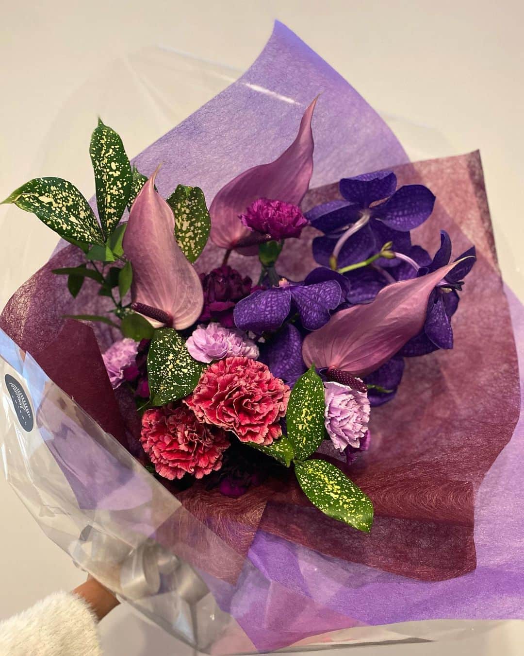 吉田愛璃さんのインスタグラム写真 - (吉田愛璃Instagram)「. 12.23(fri)  風の強〜い冬晴れの日❄️  母子共に健康で、無事退院しました♡ 律都とごりたんが綺麗な紫の花束を持って迎えてくれました💐 律都の『ママ！！』の第一声が嬉しかったなぁ😌💕  これから家族4人での生活が楽しみです🫶  #第二子出産 #退院しました #女の子ベビー」12月23日 16時37分 - eriyoshida0314