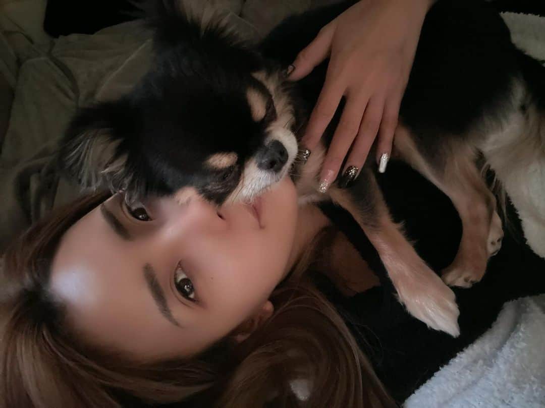 BONGOのインスタグラム：「ぼくはどうしても…  ママの顔を枕にして寝たいんだ。」