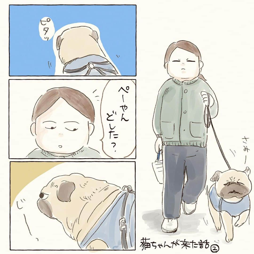 山森めぐみのインスタグラム