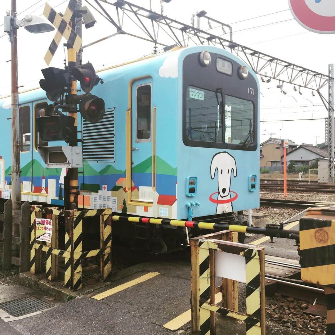 市川紗椰のインスタグラム：「Eテレ #マチスコープ 内のコーナー一押しのかわいい鉄道を紹介する「日本いちかわ鉄道」が始動 鉄道好きキッズと大きなお友達、集まれー 今回は線路の幅が76cmしかない #三岐鉄道北勢線 です。 もし良かったら→  Jwave TIME AND TIDEは先日の公開収録の模様をお届けします。ゲストは押尾コータローさんです  かけクラは年内最後！今年の一曲2022特集。  ぜひ→ ⁡ Eテレ「マチスコープ」 12/23 7:00〜  J-WAVE 「Orient Star TIME AND TIDE」 毎週土曜　２１時〜 ＠jwavetimeandtide  NHKfm 「x（かける）クラシック」 毎週日曜　１４：００〜１５：５０ 毎週月曜　７：２５〜」