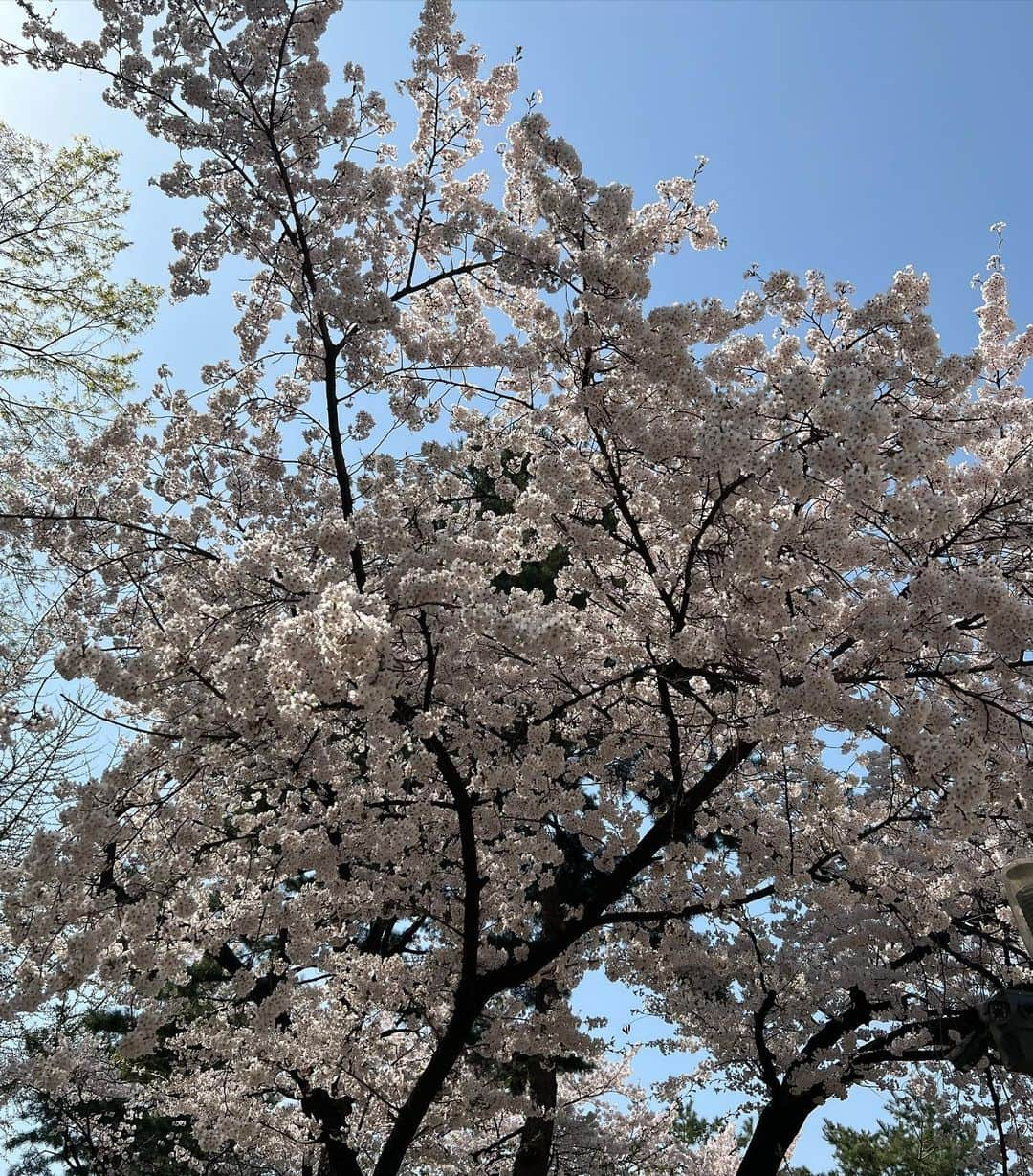 さんのインスタグラム写真 - (Instagram)「좋은 풍경을 보면 사진으로 담아두고 싶더라고요  내년에도 좋은 풍경 또 공유할게요」12月23日 18時57分 - dongdongisland