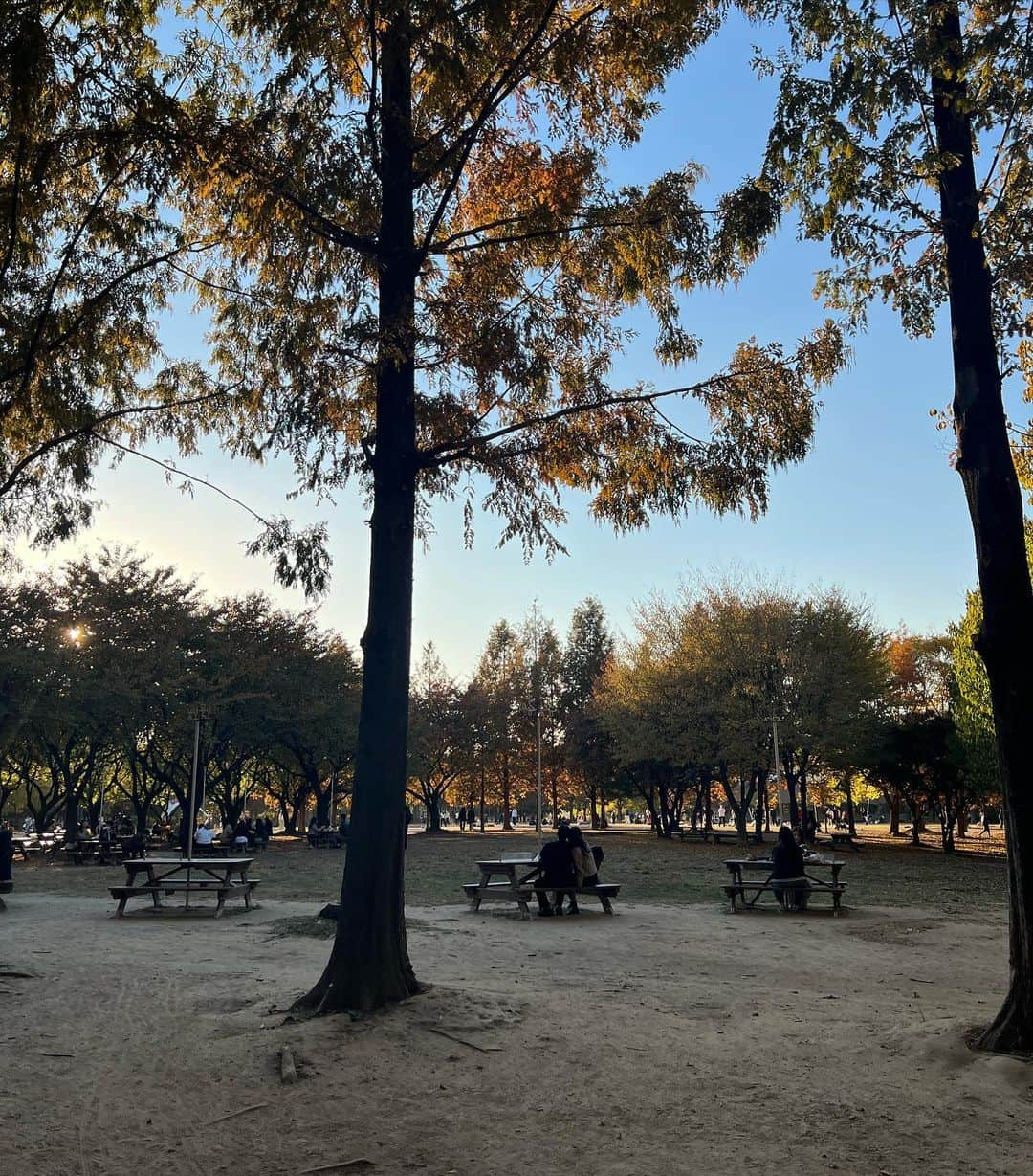 さんのインスタグラム写真 - (Instagram)「좋은 풍경을 보면 사진으로 담아두고 싶더라고요  내년에도 좋은 풍경 또 공유할게요」12月23日 18時57分 - dongdongisland