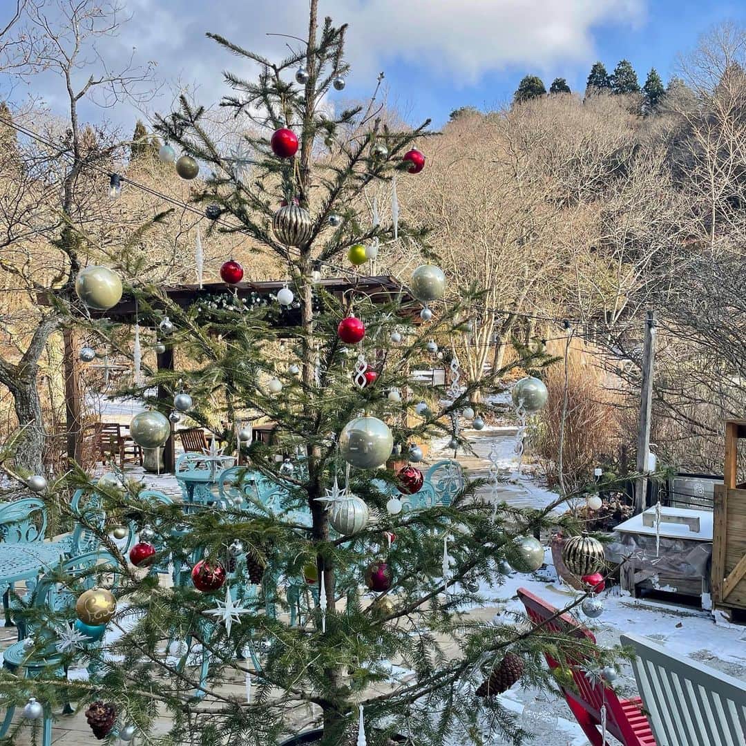橋本和花子さんのインスタグラム写真 - (橋本和花子Instagram)「*  一足早いですが、、メリークリスマス🎄 今日の中継は六甲山にある "Rokko 森の音ミュージアム"から！  手回しオルガンや自動演奏楽器で 癒しのクリスマスソングをお届けしました🎁✨  皆さま、素敵な土日をお過ごし下さいませ🎅 （最後の写真はファイトポーズではなく人形のマネ）」12月23日 19時41分 - wakako__hashimoto