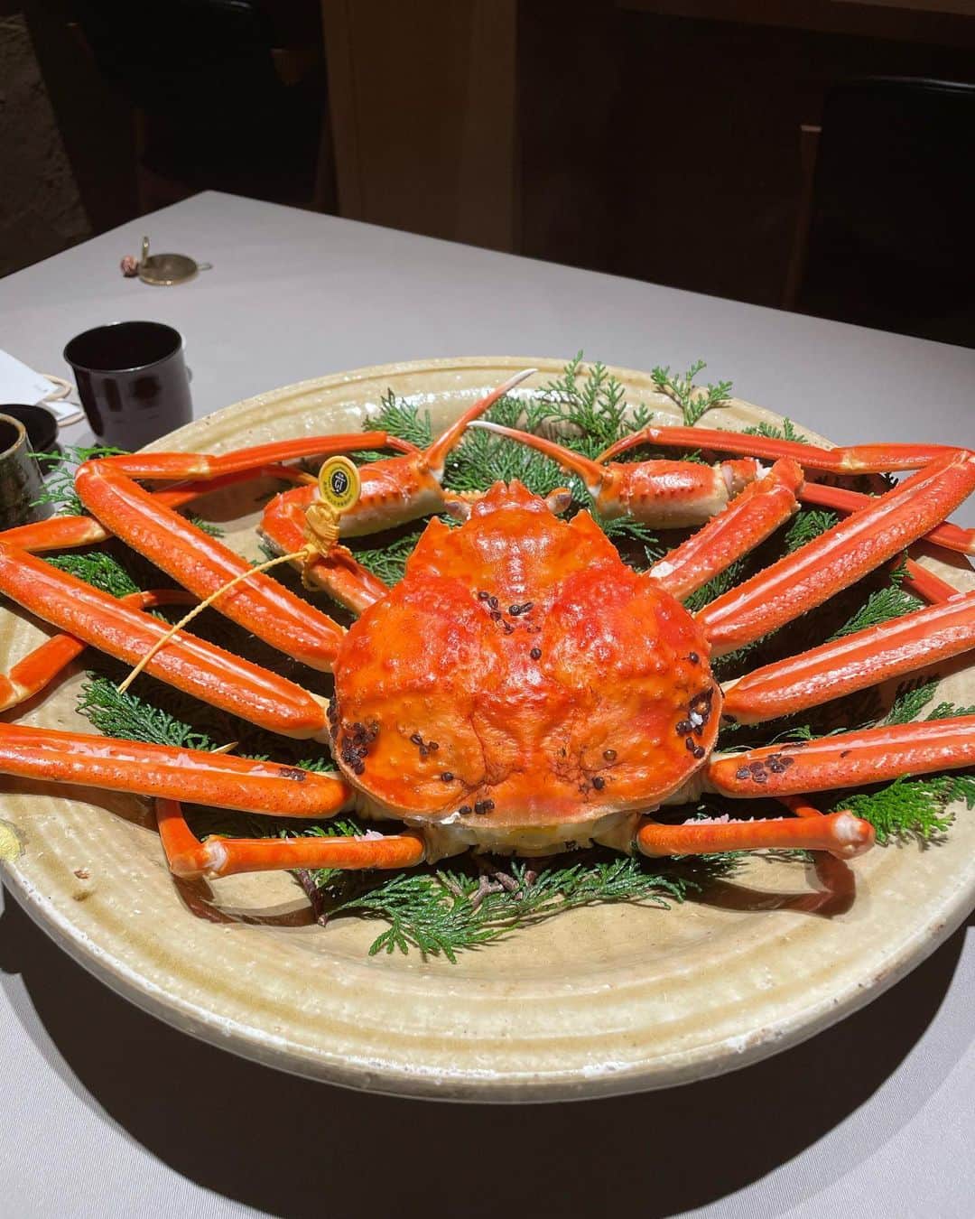 橋本壮市さんのインスタグラム写真 - (橋本壮市Instagram)「家族旅行 素敵な旅館でご飯も美味しくゆっくりできました。」12月23日 21時27分 - soichi_hasimoto