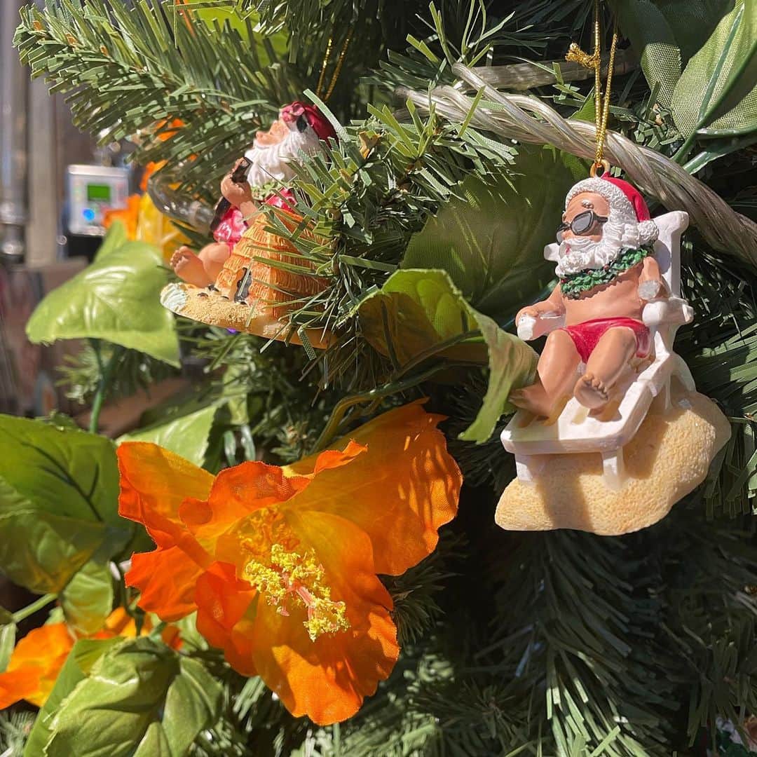 須貝茉彩のインスタグラム：「. コナズ珈琲のツリーがかわいかった🎄🏄  イブもクリスマスもお仕事ですが プライベートの予定も詰め込んでるからわくわく😙 有馬記念は抽選に当たったので現地観戦予定です✌️🏇 皆さんの本命はなんですか？✨ 枠順も決まって、 レース本番までウマ友と予想するこの時間もすき🫶🏻 とりあえず追い切りもう一回みとこう。  #須貝茉彩」
