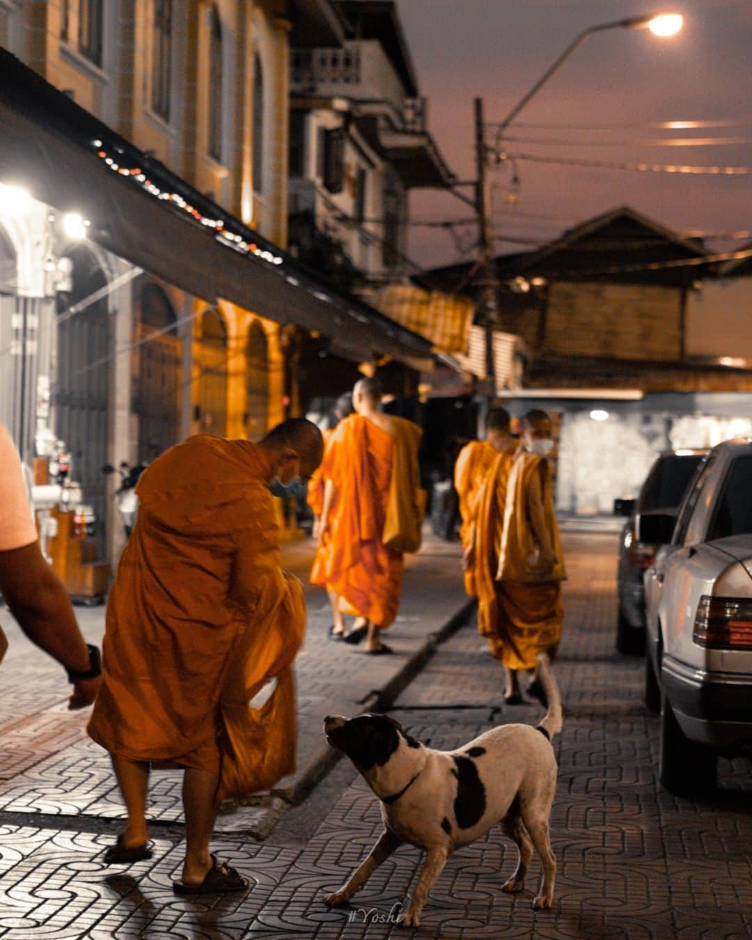 でいぜろバンコクさんのインスタグラム写真 - (でいぜろバンコクInstagram)「In Thailand, which has a large Buddhist population, monks can often be seen walking through the streets.  お坊さんがいるだけでタイっぽくなりますね 皆さんが思うタイっぽさって何ですか？コメントください😷 . . . . . . #bangkokstreet #thailandphotographer #bangkokcityvibes #beautiful_bangkok #bangkokspirit #streetphotographybangkok #bangkokstreets #thailandstreetphotography #streetbangkok #bangkokstreets #streetphotographythailand #bangkokexplore #thailandstreet  #bangkokview #bangkokstreetphotography」12月23日 22時16分 - dayzerobangkok