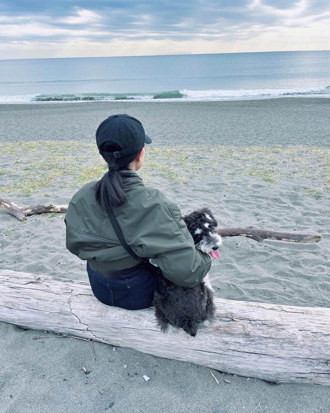 のインスタグラム：「・  まだ暖かかったときにおトノを砂浜走らせて、一緒に海を眺めた日🐾  年が明けたら、もうすぐ1歳！ 日に日に言葉を理解していて、時にはズル賢く、 時には殿様らしく🤣  お散歩中も初めましてのはずなのに 『もしかしてトノ君ですか？』と声をかけられるほどの モテモテBoyへと急成長💁🏻‍♀️  お、明日はXmasなのですか⁈ 早すぎやしないか… 3ヶ月前くらいに初詣に行ったばっかりな気持ちです‼︎  #ミニチュアシュナウザー  #シュナウザー #子犬 #ミニシュナ  #ミニシュナ部 #dog #湘南  #海 #わんこのいる生活  #わんわん物語  #ミニシュナスタグラム #相棒 #海散歩 #年末」