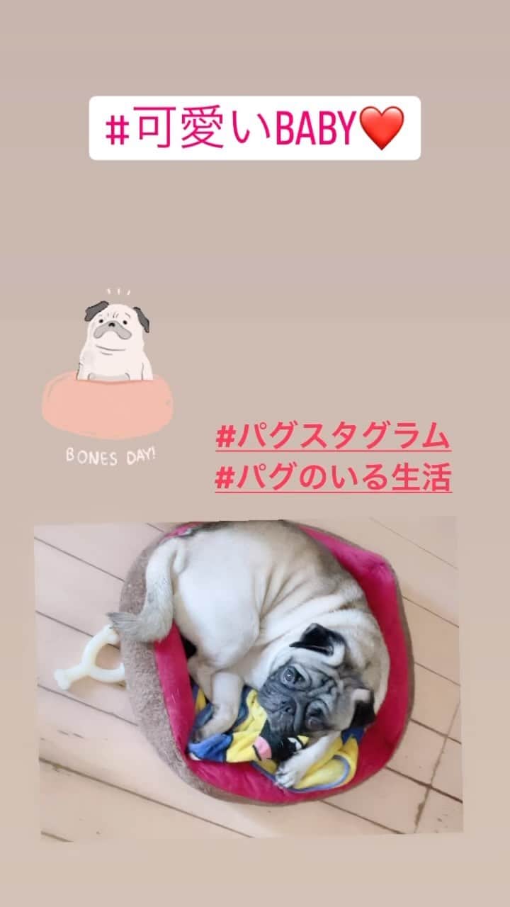 沢田麗奈のインスタグラム：「BABY2歳半♡」